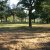 campingyuste (71)